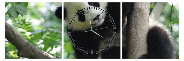 Tablou - Panda in copac (cu ceas) (90x30 cm)