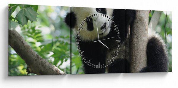Tablou - Panda in copac (cu ceas) (90x30 cm)