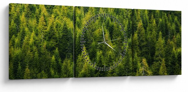 Tablou - Pădure deasă (cu ceas) (90x30 cm)