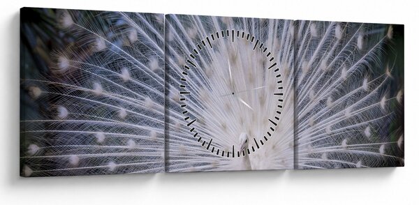 Tablou - Păun alb (cu ceas) (90x30 cm)