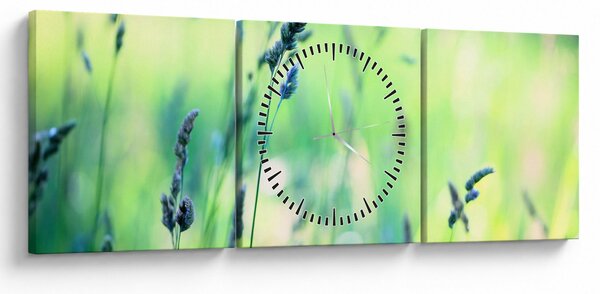 Tablou - Detaliu pajiște (cu ceas) (90x30 cm)