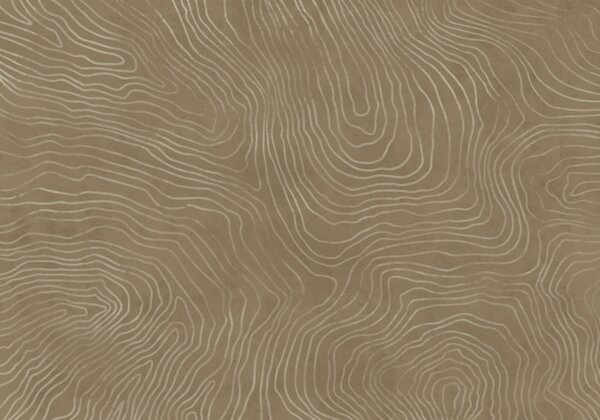 Fototapet Suprafață maro cu linii albe, Fototapet abstracte, Fototapet populare, t00679 - Tapeko.ro