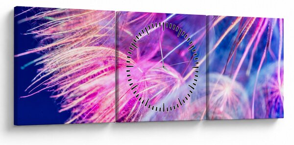 Tablou - Macro (cu ceas) (90x30 cm)
