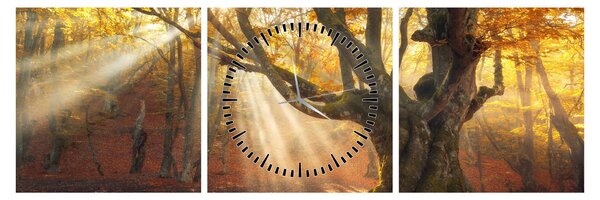 Tablou - Lumina de toamnă (cu ceas) (90x30 cm)