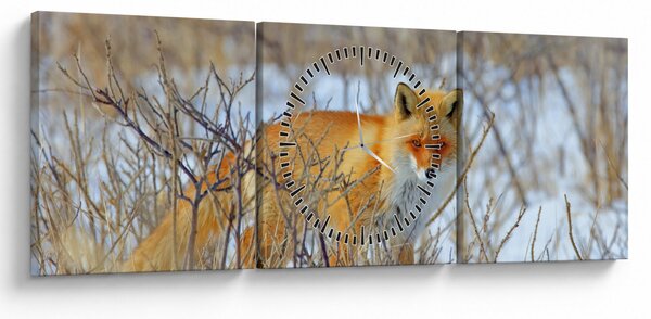 Tablou - Vulpe (cu ceas) (90x30 cm)