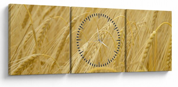 Tablou - Orz (cu ceas) (90x30 cm)