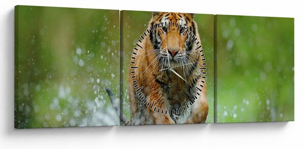 Tablou - Tigru care aleargă (cu ceas) (90x30 cm)