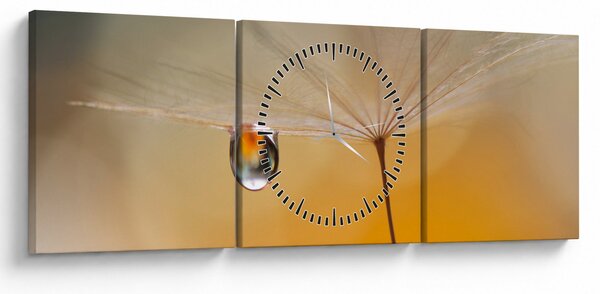 Tablou - Flori macro (cu ceas) (90x30 cm)