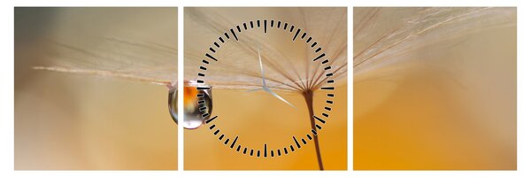Tablou - Flori macro (cu ceas) (90x30 cm)