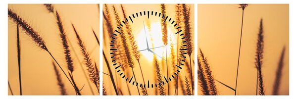 Tablou - Iarbă la soare (cu ceas) (90x30 cm)
