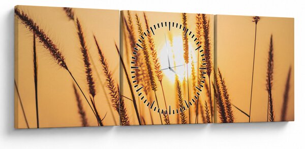 Tablou - Iarbă la soare (cu ceas) (90x30 cm)