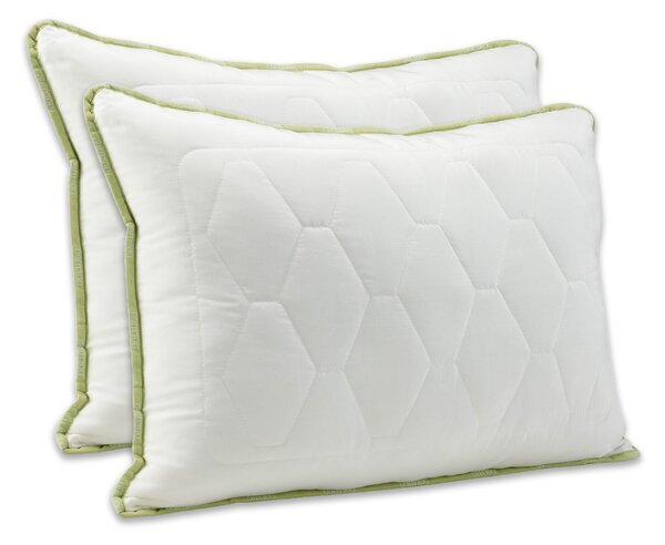 2x Dormeo perna clasica Aloe Vera JC5 50x70 cm