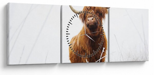 Tablou - Vacă scoțiană (cu ceas) (90x30 cm)