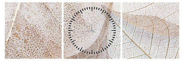 Tablou - Frunze bej (cu ceas) (90x30 cm)