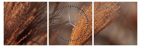 Tablou - Cortaderie (cu ceas) (90x30 cm)
