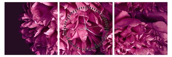 Tablou - Floarea bujorului (cu ceas) (90x30 cm)