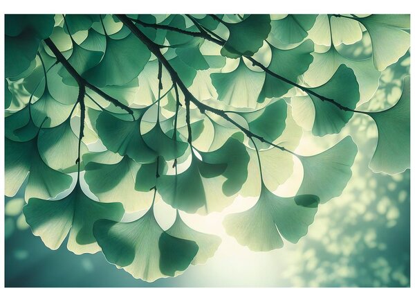 Tapet frunze verzi de ginkgo în lumină