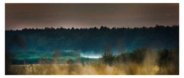 Tablou - Peisaj de munte (120x50 cm)