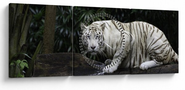 Tablou - Tigru alb (cu ceas) (90x30 cm)