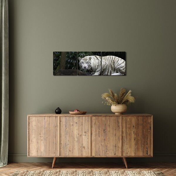 Tablou - Tigru alb (cu ceas) (90x30 cm)