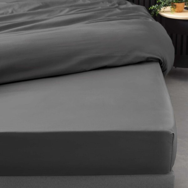 Cearceaf gri antracit din bumbac percal cu elastic 90x190 cm Percaline – douceur d'intérieur