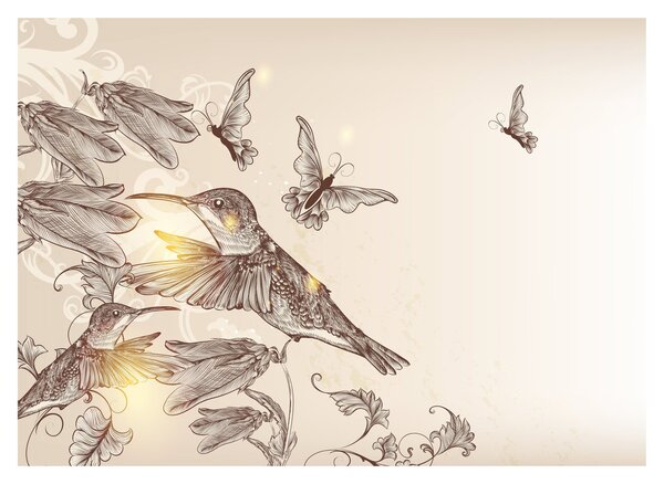 Tablou pe sticlă - Colibri (70x50 cm)