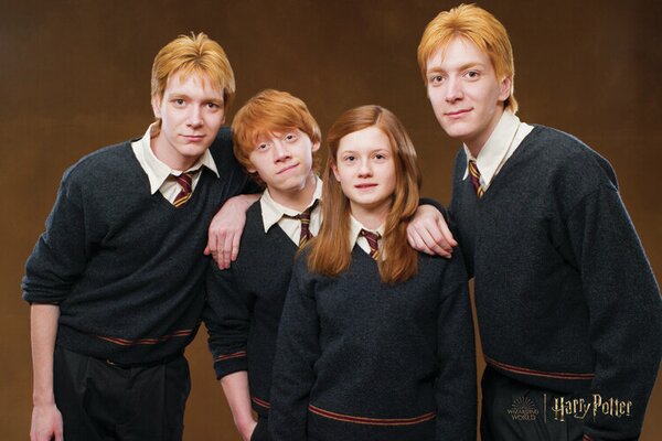 Poster de artă Harry Potter - Weasley family