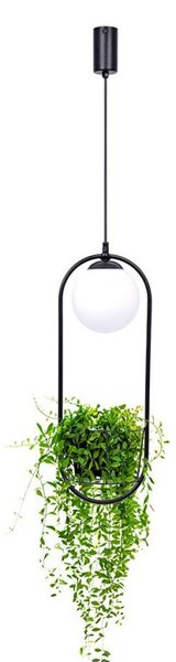 Zuma Line Plant lampă suspendată 1x40 W negru 5003