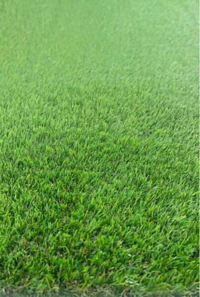 Covor Gazon Iarba Artificiala Produs Belgia, Calitate Premium, Model Fuse 25 mm inaltime fir, Gradinita Loc de Joaca Terasa Curte, Verde Verde, 200 x