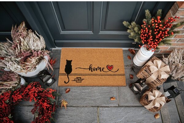 Covoraș de intrare din fibre de nucă de cocos 40x70 cm Kitty Home – Hanse Home