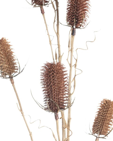 Câinele de câmp ornamental 110cm red beige