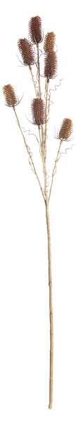 Câinele de câmp ornamental 110cm red beige