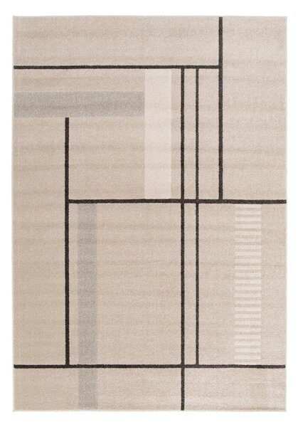 Covor bej 160x230 cm Domus – Universal