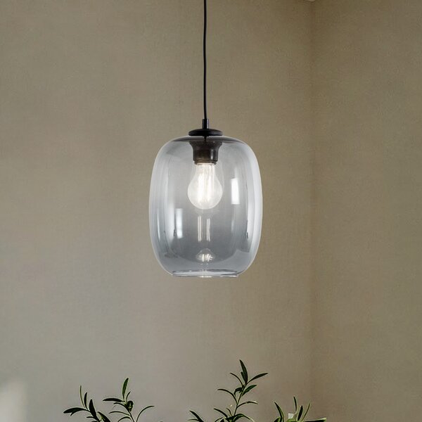 TK Lighting Lampă suspendată Elio, sticlă, grafit, o singură lumină, reglabil, Transparent, Camera de zi / sufragerie, Sticlă, Modern