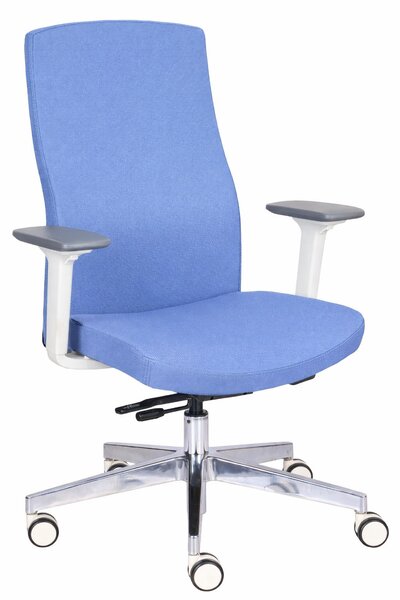 Scaun de birou Team Pro W Chrome