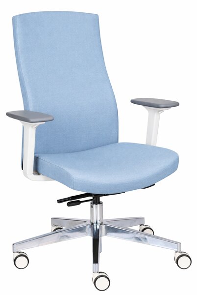 Scaun de birou Team Pro W Chrome