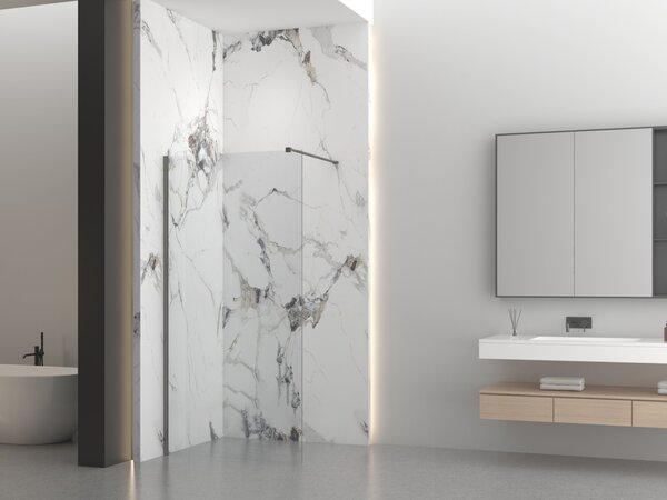 Erga Paris, Paravan de duș walk-in 50x200 cm, sticlă transparentă de 8 mm, profil grafit, ERG-V02-PARIS-050x200-CL-GG