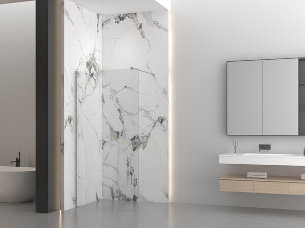 Erga Paris, Paravan de duș walk-in 50x200 cm, sticlă transparentă 8mm, oțel periat, ERG-V02-PARIS-050x200-CL-BS