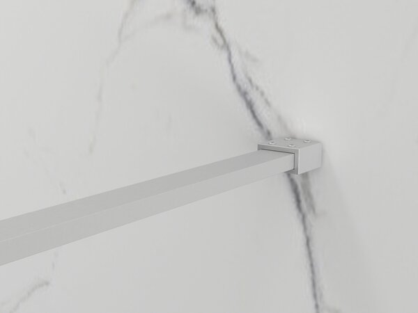 Erga Paris, Paravan de duș walk-in 30x200 cm, sticlă gri 8mm, oțel periat, ERG-V02-PARIS-030x200-GR-BS