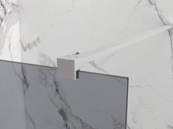 Erga Paris, Paravan de duș walk-in 30x200 cm, sticlă gri 8mm, oțel periat, ERG-V02-PARIS-030x200-GR-BS