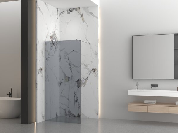 Erga Paris, Paravan de duș walk-in 30x200 cm, sticlă gri 8mm, oțel periat, ERG-V02-PARIS-030x200-GR-BS