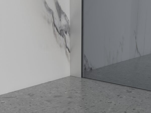 Erga Paris, Paravan de duș walk-in 30x200 cm, sticlă gri 8mm, oțel periat, ERG-V02-PARIS-030x200-GR-BS