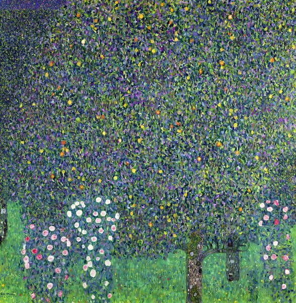Reproducere Roses under the Trees, c.1905, Gustav Klimt