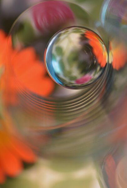 Fotografie de artă Floral sphere, Heidi Westum, (26.7 x 40 cm)
