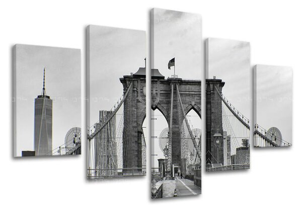 Tablouri canvas 5-piese ORAȘE - NEW YORK ME114E50 (tablouri)