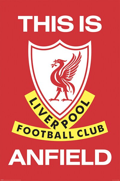 Poster Liverpool FC - This Is Anfield, (61 x 91.5 cm)