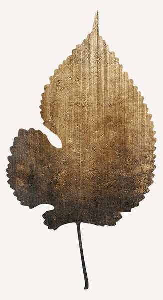 Ilustrare Golden Leaf, Kubistika, (26.7 x 40 cm)