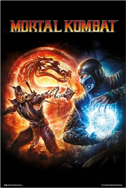 Poster Mortal Kombat 9, (61 x 91.5 cm)