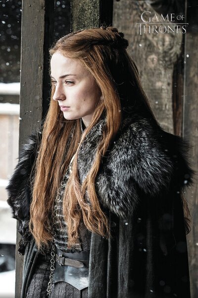 Poster de artă Urzeala tronurilor - Sansa Stark, (26.7 x 40 cm)