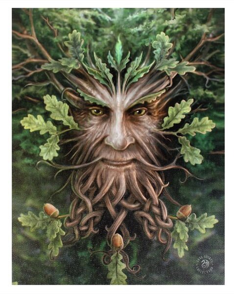 Tablou Canvas Regele Stejar 19x25cm - Anne Stokes